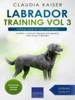 Labrador Training Vol 3 – Taking care of your Labrador: Nutrition, common diseases and general care of your Labrador: Labrador Training, #3