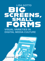 Big Screens, Small Forms: Visual Varieties in Digital Media Culture