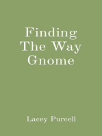Finding The Way Gnome