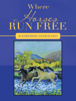 Where Horses Run Free
