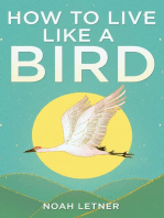 How To Live Like A Bird