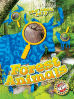 Forest Animals