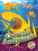 Ocean Animals