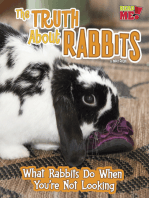 The Truth about Rabbits: What Rabbits Do When You're Not Looking