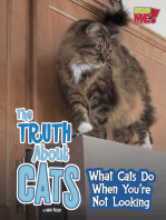 The Truth about Cats