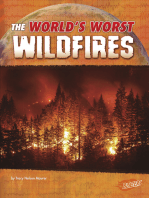 The World's Worst Wildfires