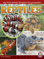 Reptiles