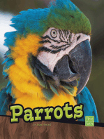 Parrots