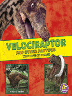 Velociraptor and Other Raptors: The Need-to-Know Facts