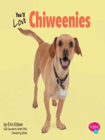 You'll Love Chiweenies