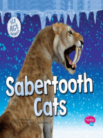 Sabertooth Cats