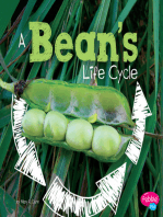 A Bean's Life Cycle