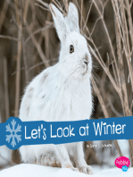 Let's Look at Winter: A 4D Book