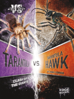 Tarantula vs. Tarantula Hawk: Clash of the Giants