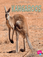 Kangaroos