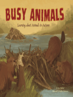 Busy Animals: Learning About Animals in Autumn