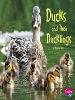 Ducks and Their Ducklings: A 4D Book