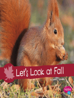 Let's Look at Fall: A 4D Book