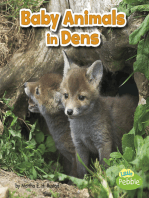 Baby Animals in Dens