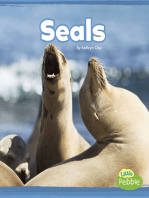Seals: A 4D Book