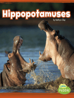 Hippopotamuses: A 4D Book
