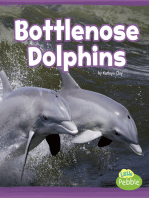 Bottlenose Dolphins: A 4D Book