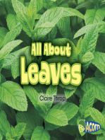 All About Leaves