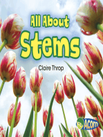 All About Stems