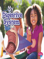 My Digestive System: A 4D Book