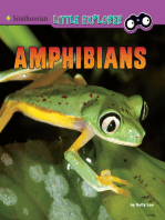 Amphibians: A 4D Book