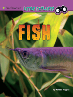 Fish: A 4D Book