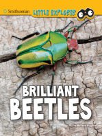 Brilliant Beetles: A 4D Book