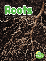 Roots