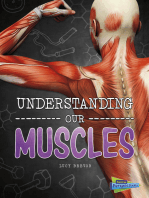 Understanding Our Muscles