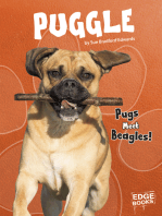 Puggle: Pugs Meet Beagles!