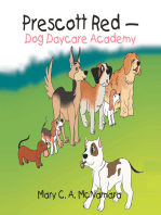Prescott Red - Dog Daycare Academy