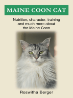 Maine Coon cat: Nutrition, character, training and much more about the Maine Coon