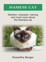 Siamese cat: Nutrition, character, training and much more about the Siamese cat