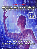 Im Bann der digitalen Welt (STAR-DUST 13)