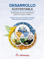 Desarrollo Sustentable: Estrategia en las empresas para un futuro mejor