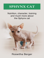 Sphynx cat: Nutrition, character, training and much more about the Sphynx cat