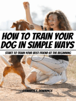 How To Train Your Dog in Simple Ways! Start to Train Your Best Friend At The Beginning