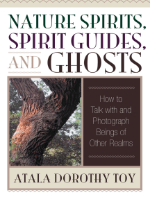 Nature Spirits, Spirit Guides, and Ghosts by Atala Dorothy Toy