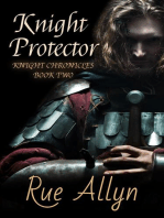 Knight Protector: Knight Chronicles, #2