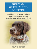 German Wirehaired Pointer: Nutrition, character, training and much more about the German Wirehaired Dog
