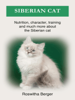 Siberian cat: Nutrition, character, training and much more about the Siberian cat