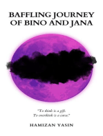 Baffling Journey of Bino and Jana