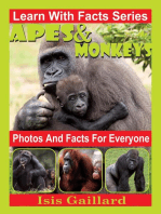 Apes and Monkeys Photos and Facts for Everyone