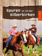 Spuren im Tal der Silberbirken