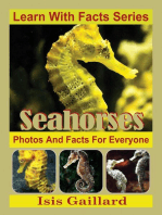 Seahorses Photos and Facts for Everyone